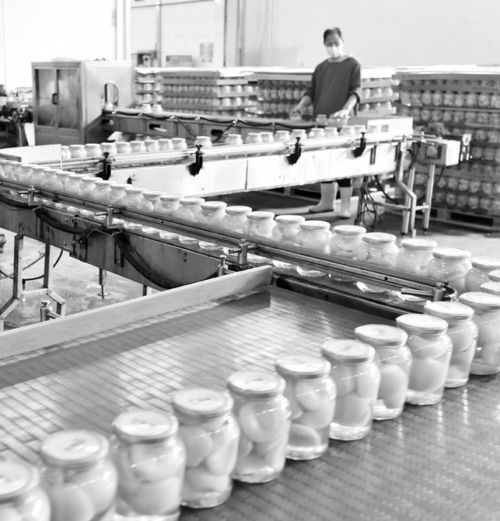 利用資源優(yōu)勢(shì) 發(fā)展特色產(chǎn)業(yè)